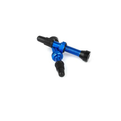 valve tubeless bleu