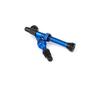 valve tubeless bleu